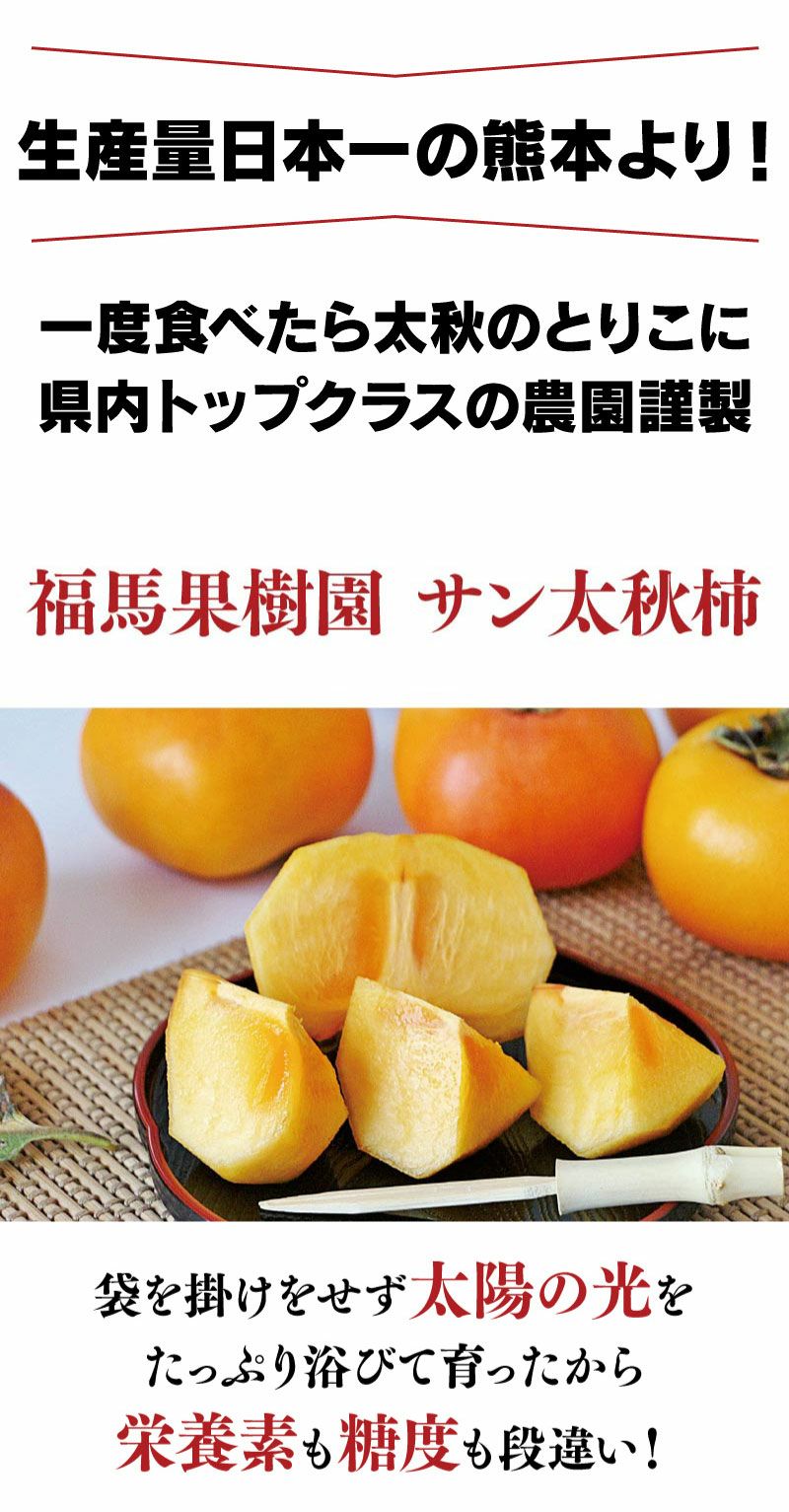 ブランド柿 熊本産 サン太秋柿 1.8kg（6-7玉） 玉揃い 送料無料 無袋