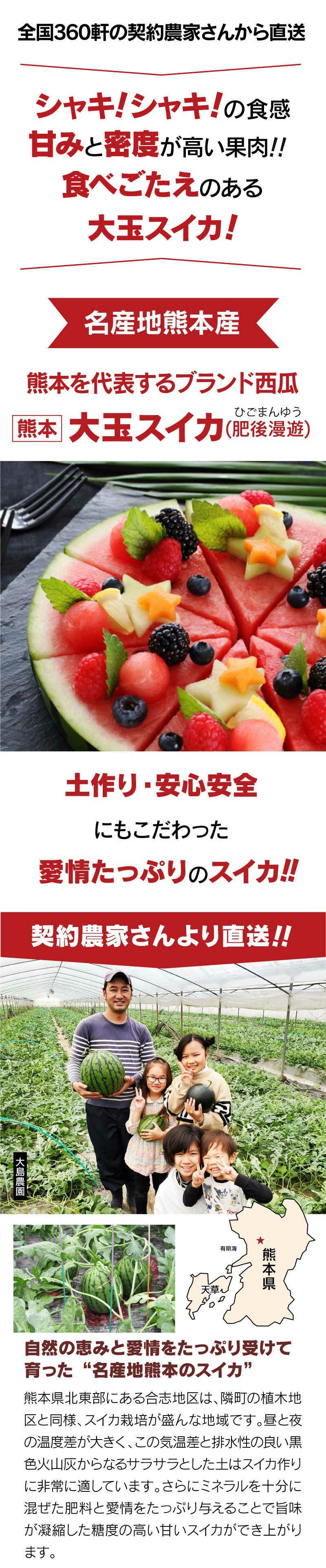 スイカ 肥後漫遊 1玉 約5kg M～Lサイズ 送料無料 ＜5月上旬より出荷予定＞ 熊本 大玉スイカ 農家直送 ギフト プレゼント フルーツ 果物  大嶌屋（おおしまや）