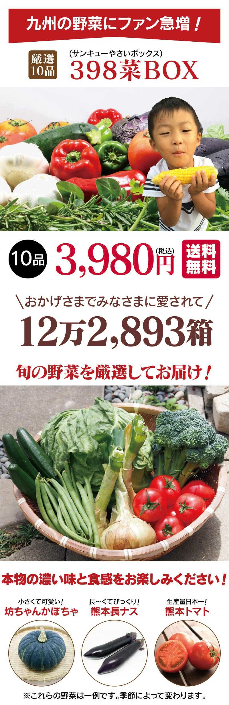 398菜BOX（サンキューやさいボックス）野菜 10品 詰め合わせ 野菜