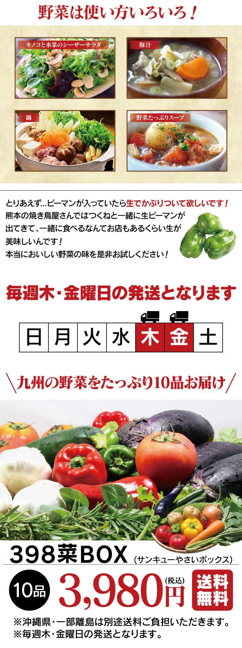 398菜BOX（サンキューやさいボックス）野菜 10品 詰め合わせ