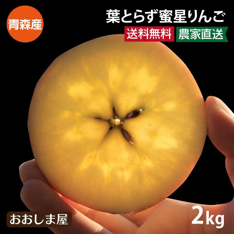 究極の蜜入り 葉とらず蜜星りんご 2kg（8-12玉）品種名：高徳りんご