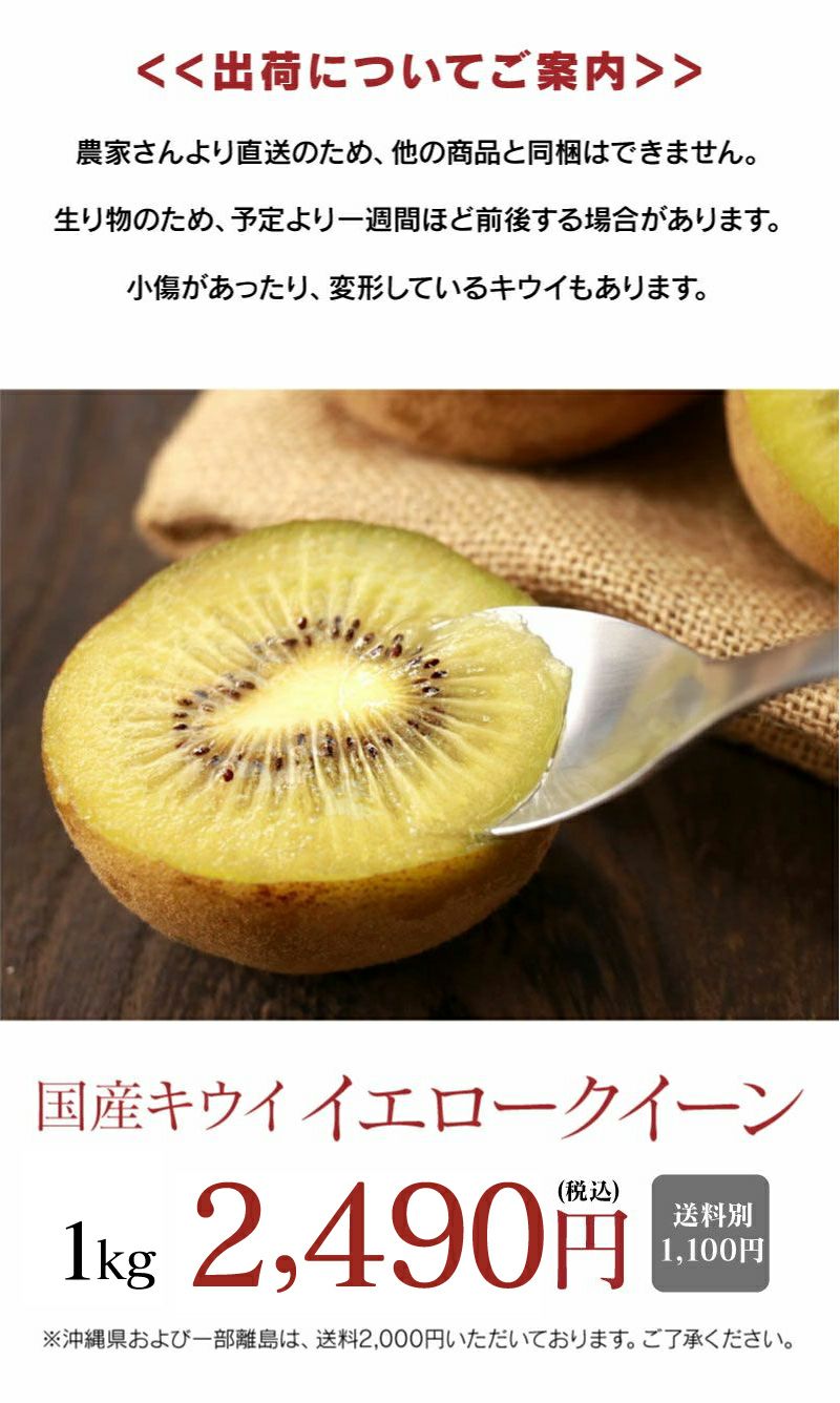 キウイ イエロークイーン 1kg 送料別（同住所に2箱以上で送料無料