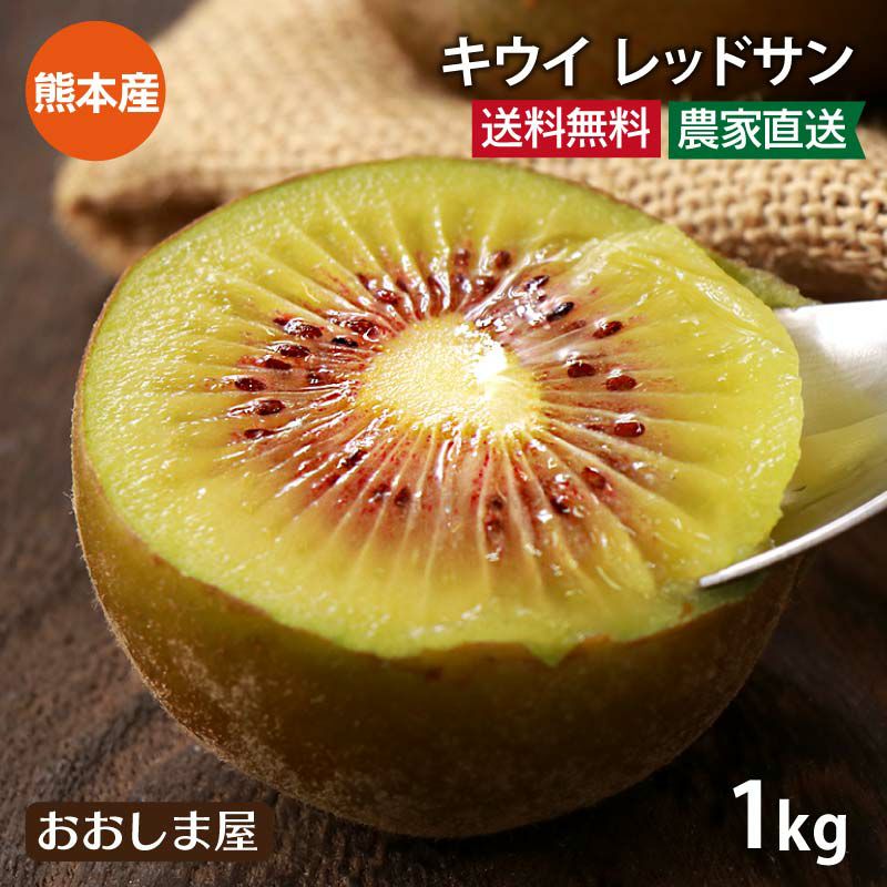 キウイ レッドサン 1kg(8-12玉) 送料無料 ＜10月下旬より順次出荷予定＞ 国産 別名： レッドキウイ キウイフルーツ 紅妃 レインボー 赤い  熊本産 農家直送 産地直送 フルーツ 果物 | おおしま屋（大嶌屋）