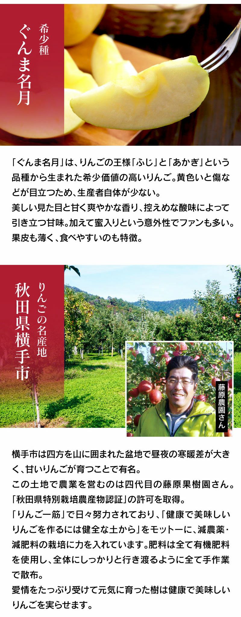 ぐんま名月 