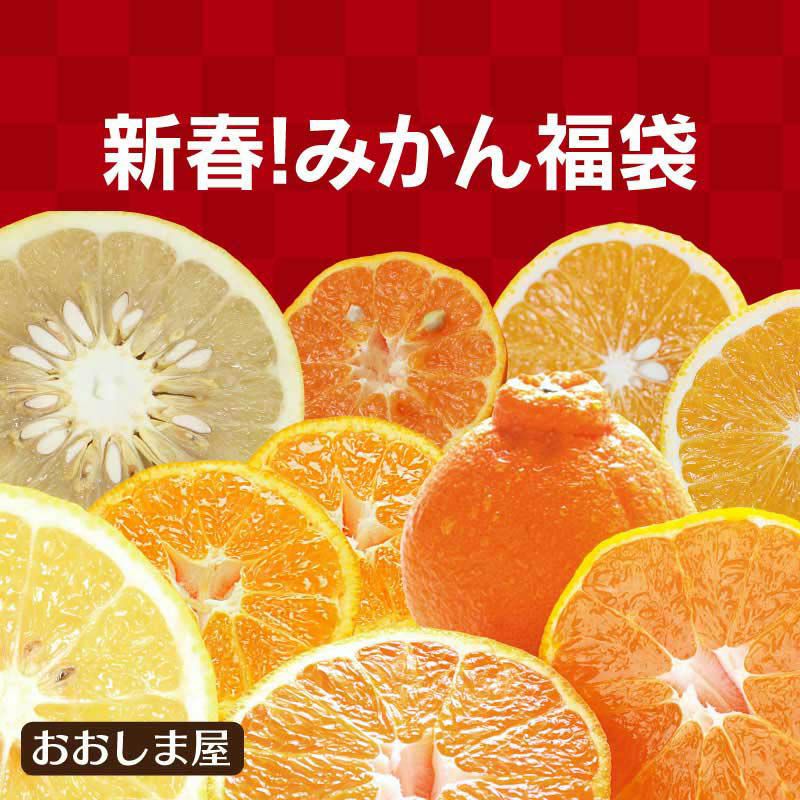 みかん福袋