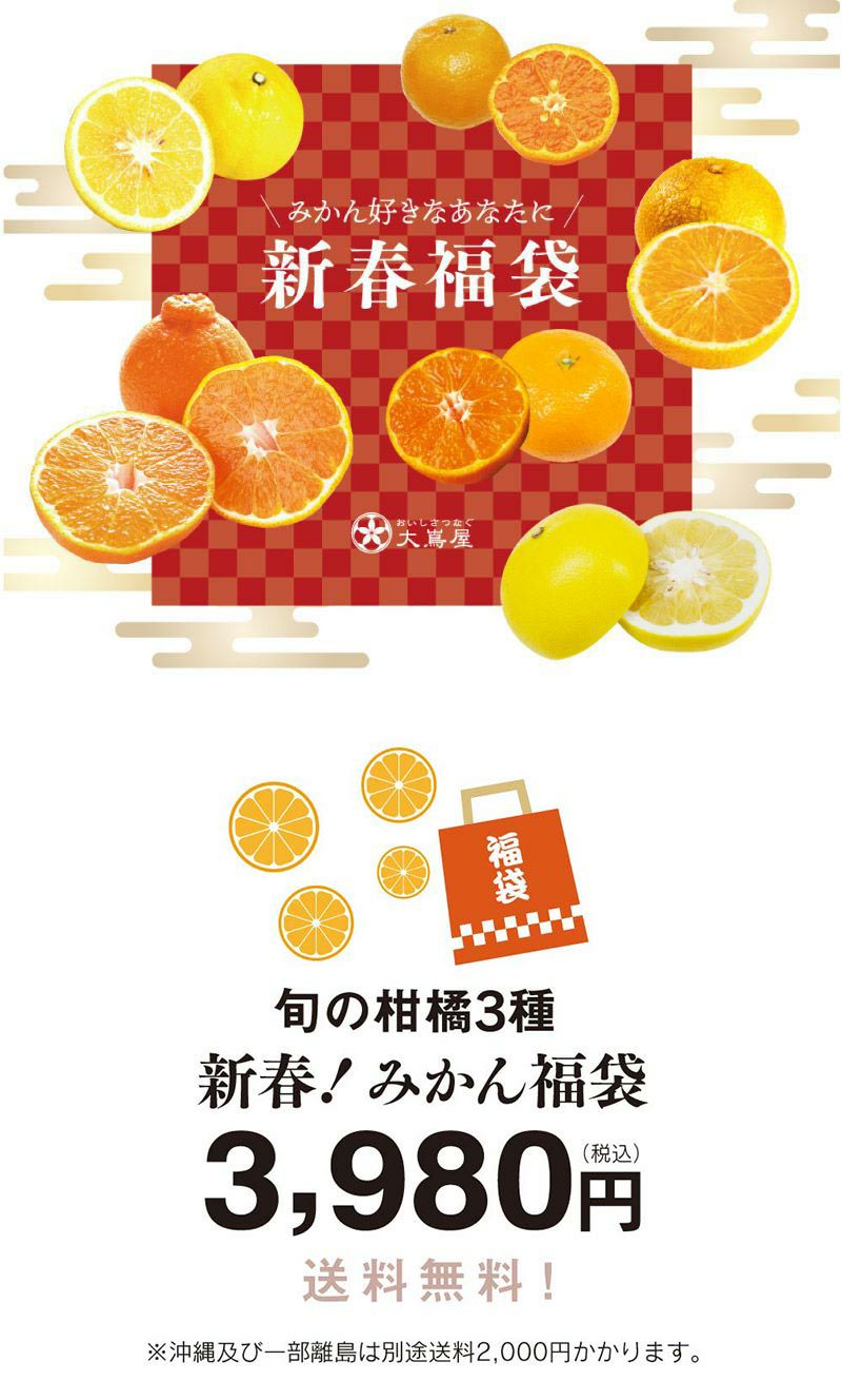 みかん福袋