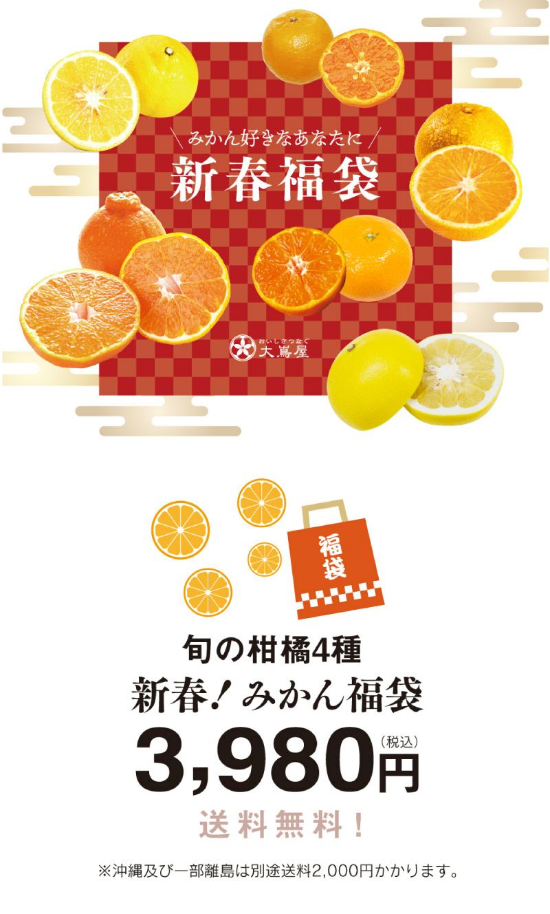 2024新春！みかん福袋 おまかせ柑橘4種類 ＜選択頂いた時期に出荷