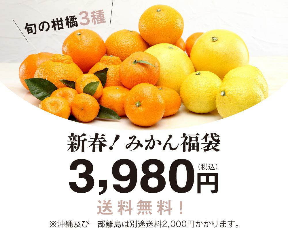 みかん福袋
