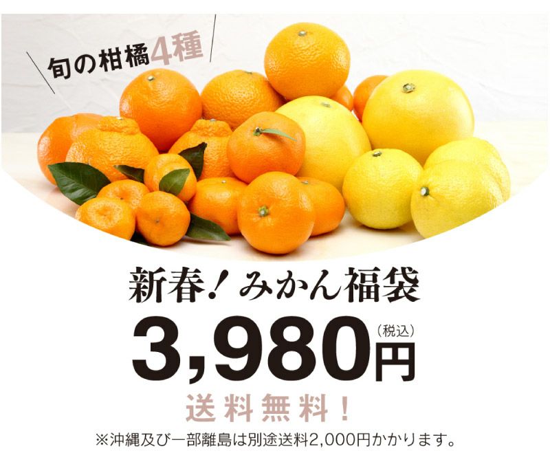 2023新春！みかん福袋 おまかせ柑橘4種類 ＜1月下旬より順次出荷＞ 合計4kg以上 送料無料