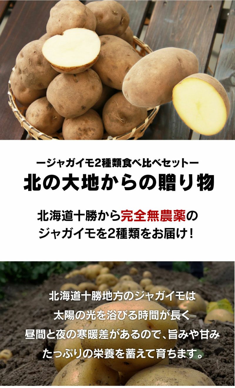 北の大地からの贈り物