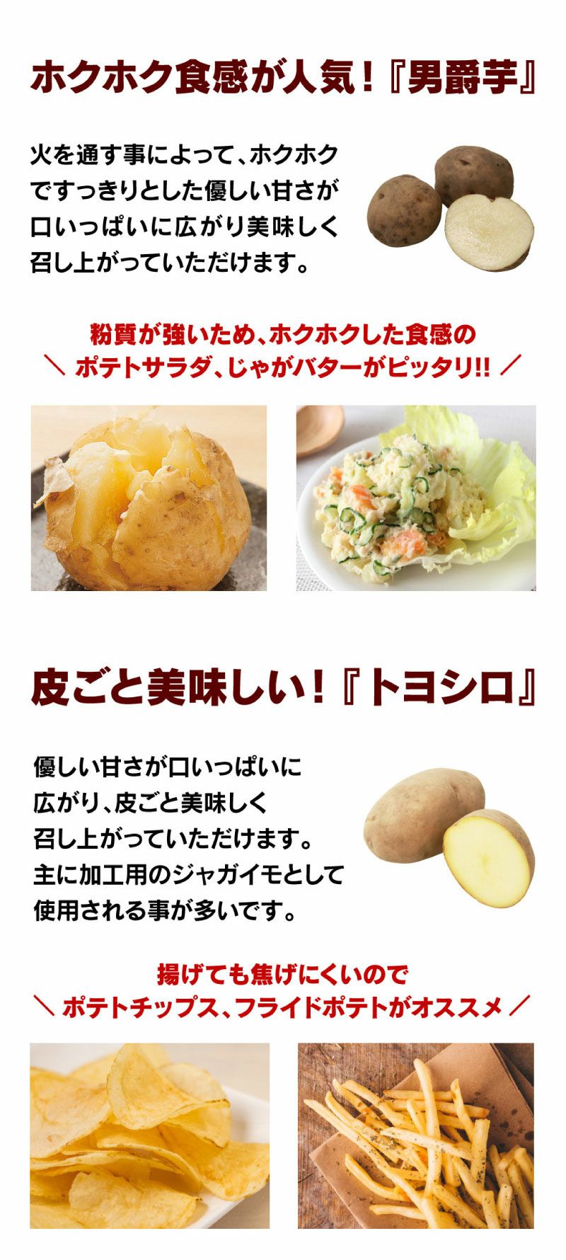 北の大地からの贈り物