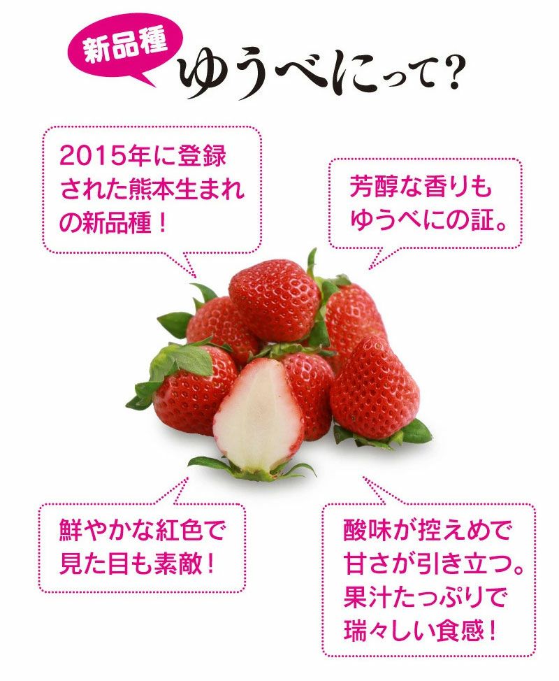 ゆうべに 熊本産 2パック ＜送料無料・クール代別＞ 新品種 熊紅 農家