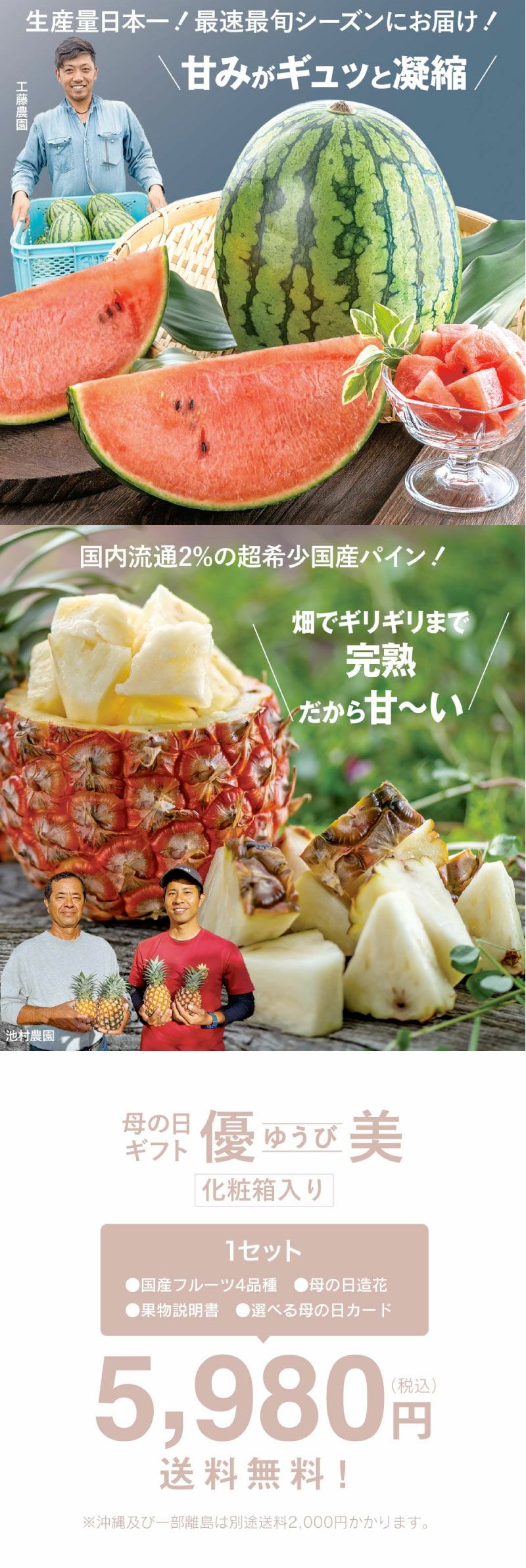 母の日 2025 フルーツ ギフト 詰め合わせ 送料無料 旬果 4種 ギフト