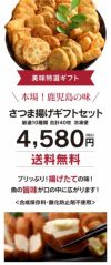 さつま揚げ ギフトセット 送料無料 10種類 40枚