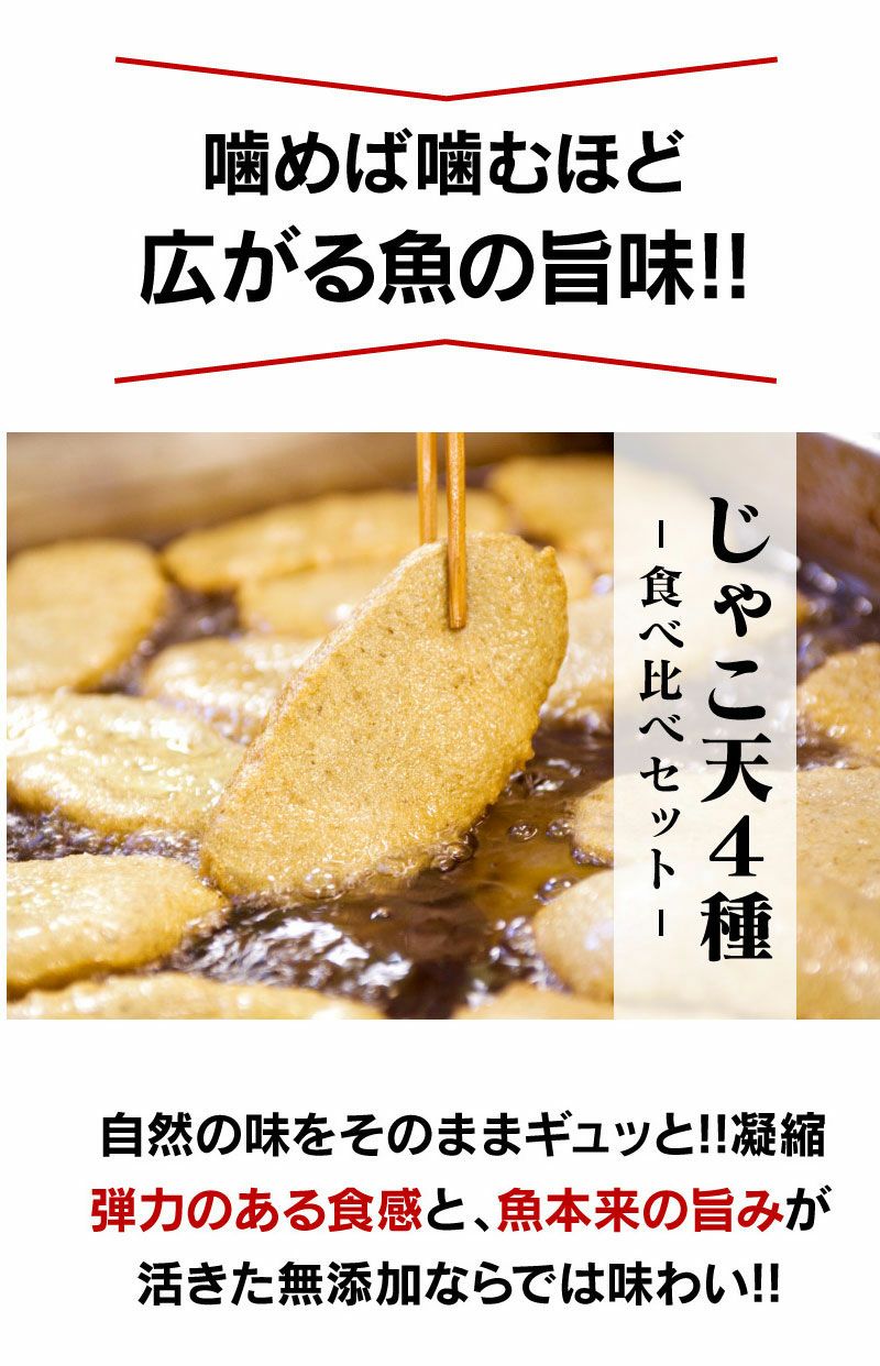 じゃこ天4種セット 