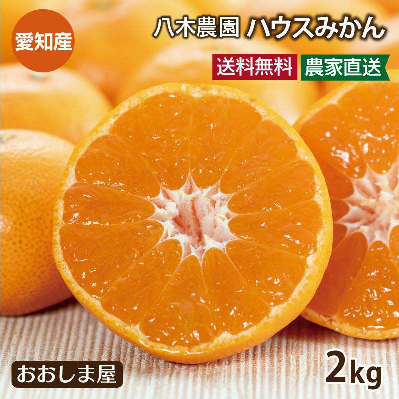 愛知県産 ハウスみかん 2kg