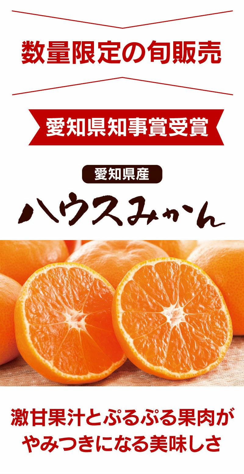 愛知県産 ハウスみかん 2kg