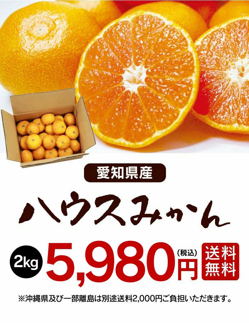 愛知県産 ハウスみかん 2kg