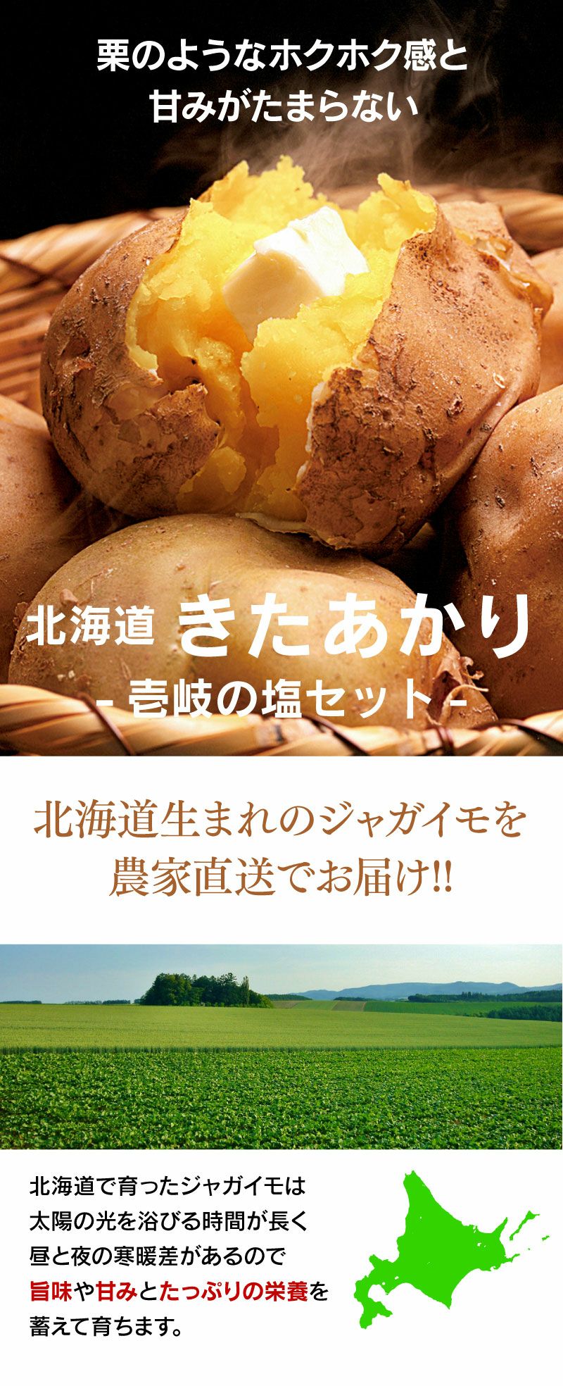 北海道ジャガイモ 北あかり 5kg