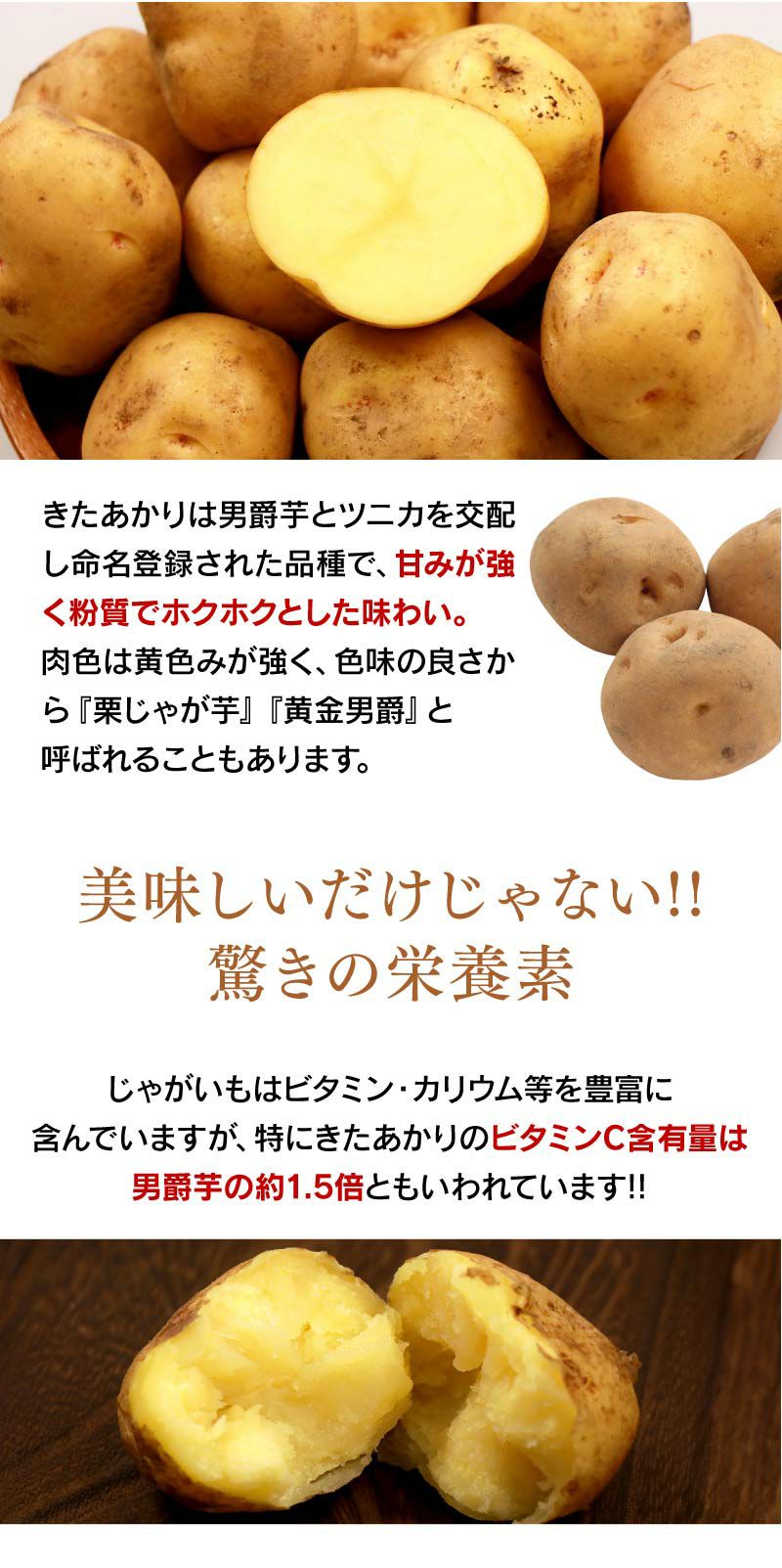 北海道ジャガイモ 北あかり 5kg