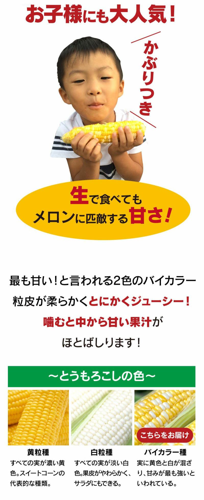 北海道産 とうもろこし ハーモニーショコラ