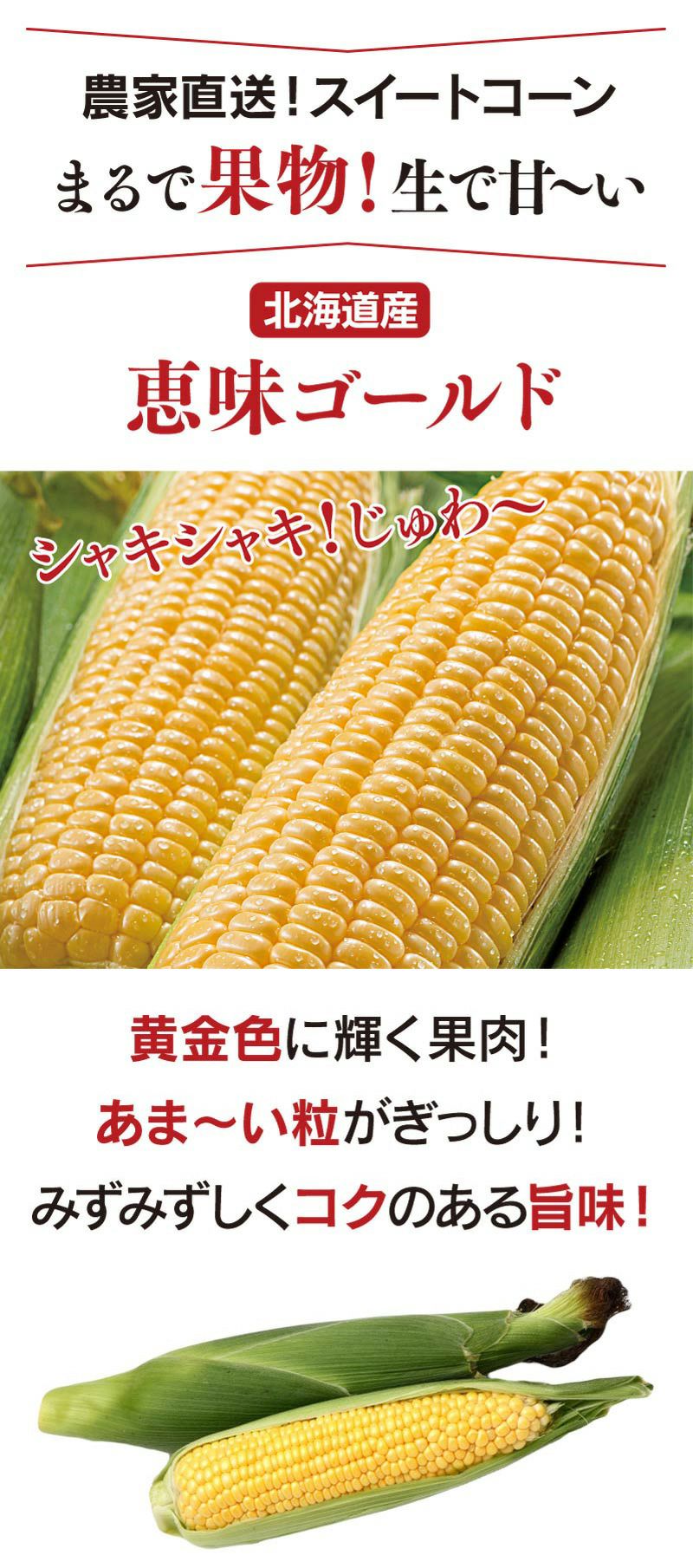 北海道産 とうもろこし 恵味ゴールド