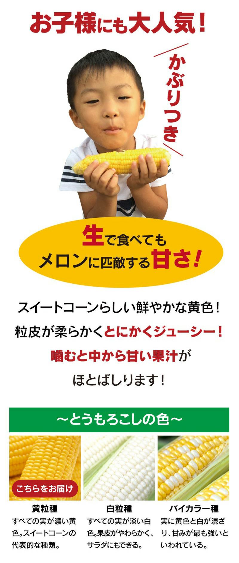 北海道産 とうもろこし 恵味ゴールド
