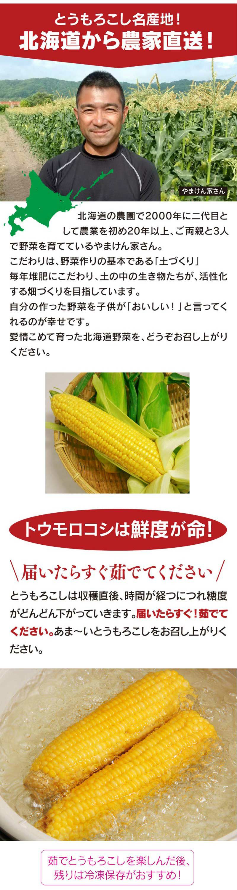 北海道産 とうもろこし 恵味ゴールド