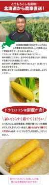 北海道産 とうもろこし 恵味ゴールド