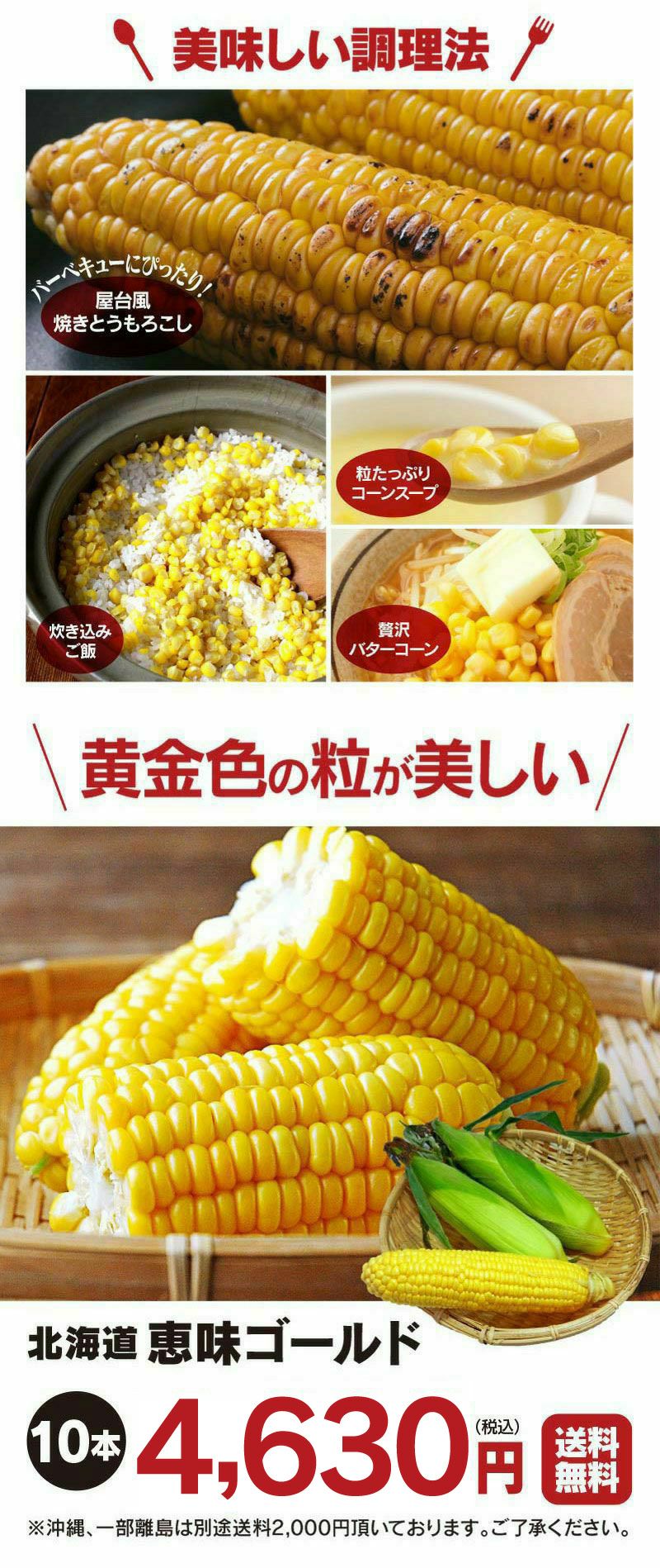 北海道産 とうもろこし 恵味ゴールド