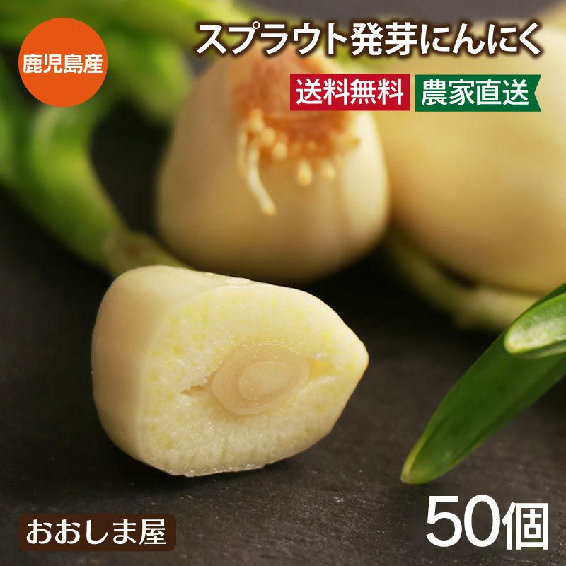 スプラウトにんにく 50個(10個×5袋) ＜送料無料＞ 鹿児島県霧島産 発芽にんにく ニンニク 野菜 川越農園 農家直送 大嶌屋（おおしまや） |  おおしま屋（大嶌屋）