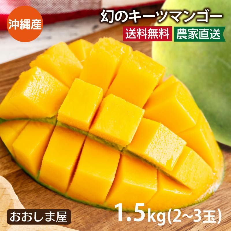 幻のキーツマンゴー 1.5kg(大小混合2-3玉) 送料無料 ＜7月下旬より出荷