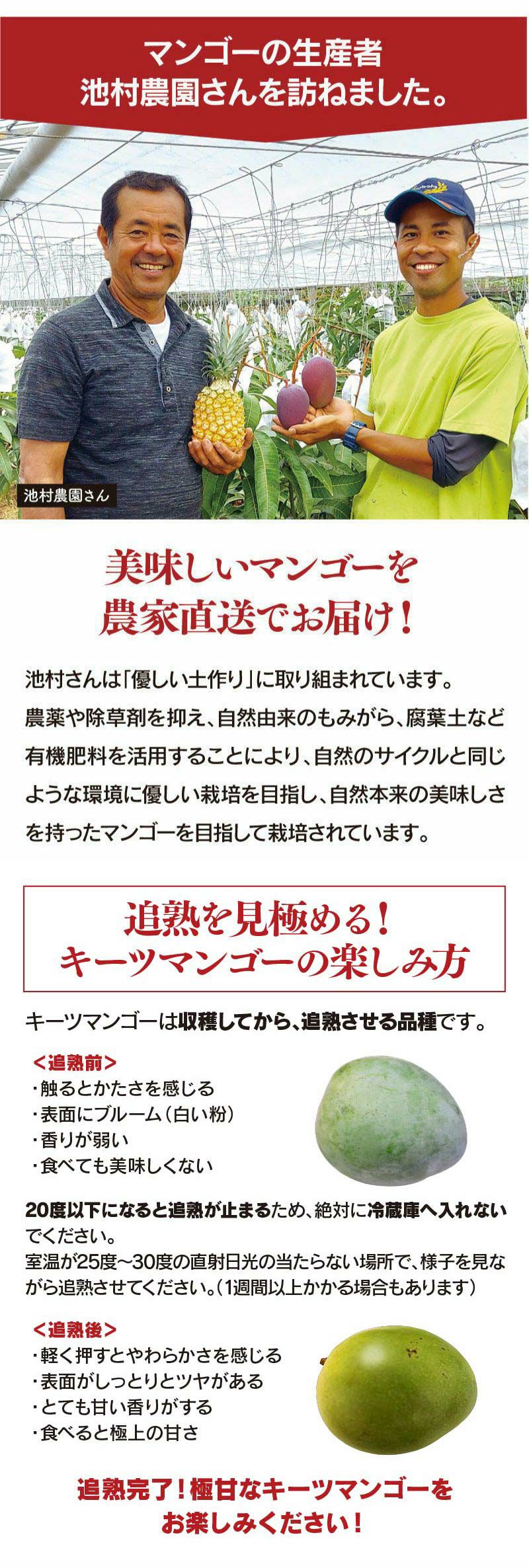 幻のキーツマンゴー