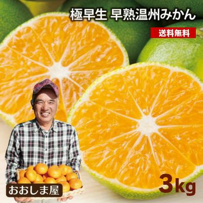 早熟温州みかん