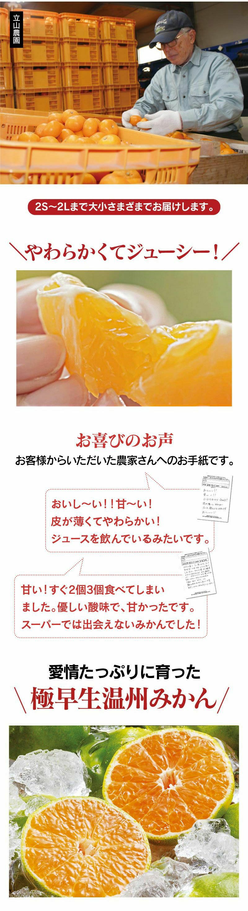 早熟温州みかん