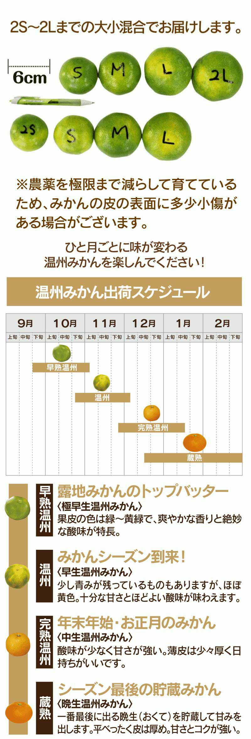 早熟温州みかん