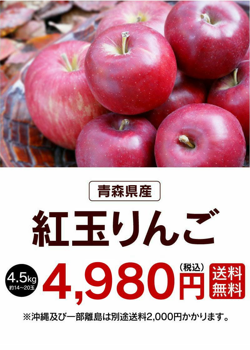 青森産 紅玉りんご 4.5kg(大小混合14玉-20玉) ＜9月下旬より順次出荷＞ リンゴ 林檎 果物 フルーツ 送料無料 農家直送  大嶌屋(おおしまや)