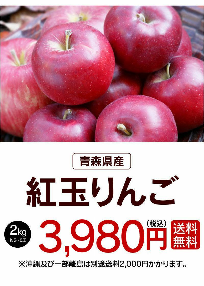 ☆期間限定☆青森県産 ふじ りんご 特大玉入 6~8玉 ⑫ - 果物