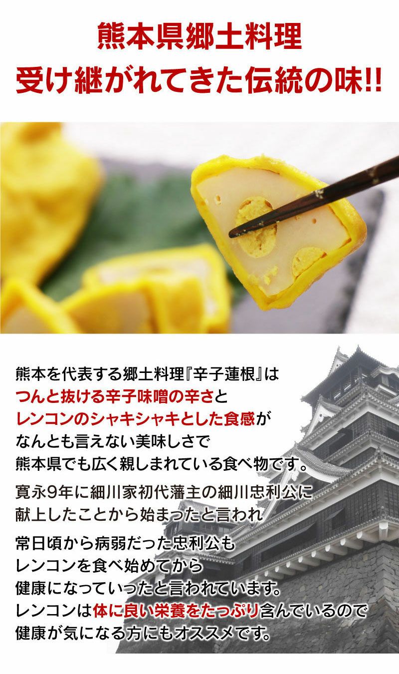 スティックからし蓮根　辛子蓮根 (1本100g) ＜送料・クール代別＞ レンコン れんこん 熊本名物 お取り寄せ からし味噌 グルメ おつまみ  大嶌屋（おおしまや）