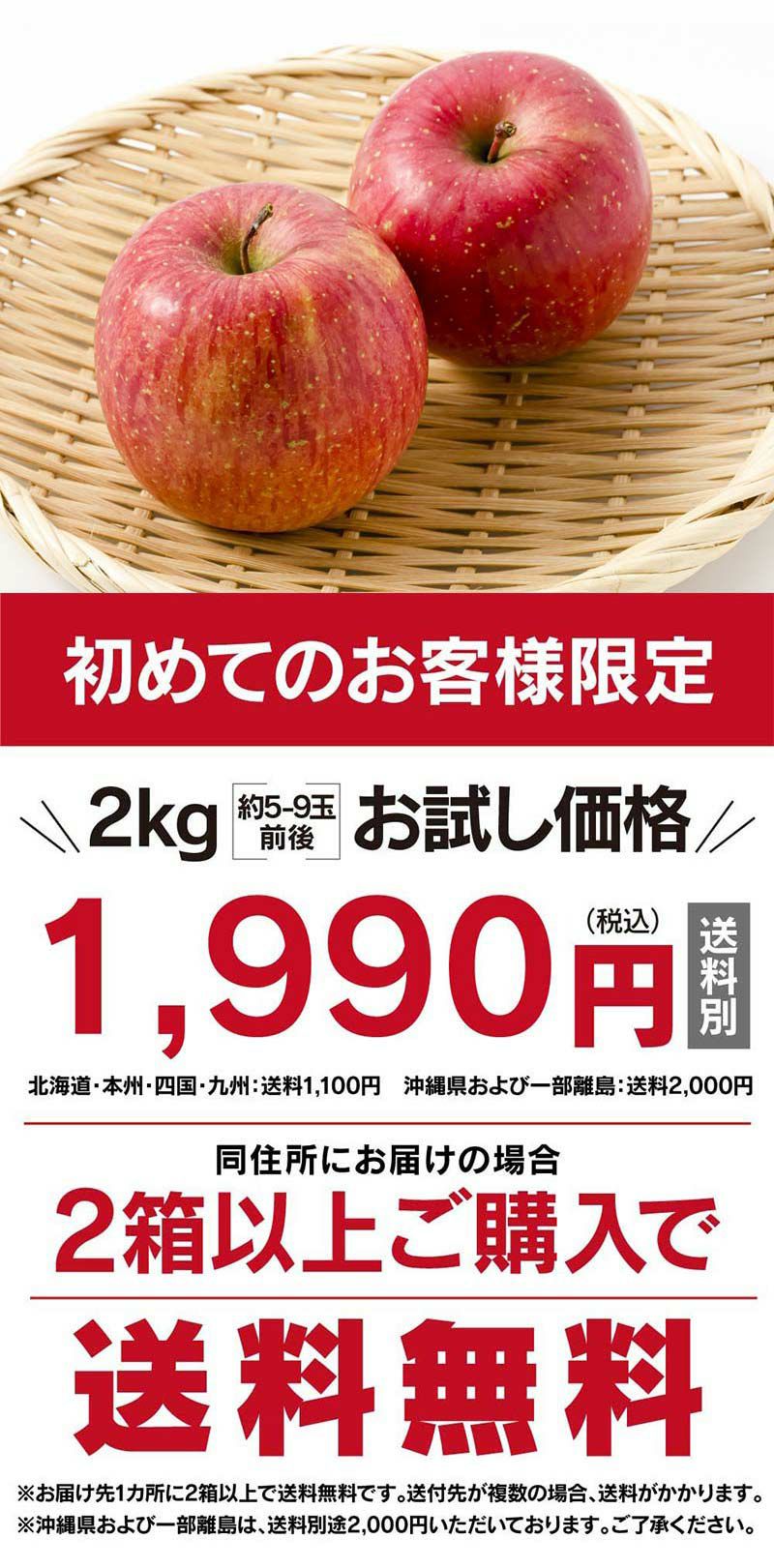 りんごちゃん様専用 りんごちゃん様用 りんごさま専用 りんご様 りんご