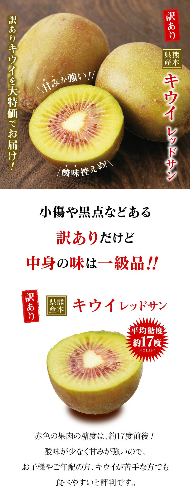 訳ありキウイ レッドサン 3kg 送料無料 クール代別途 ＜10月上旬より