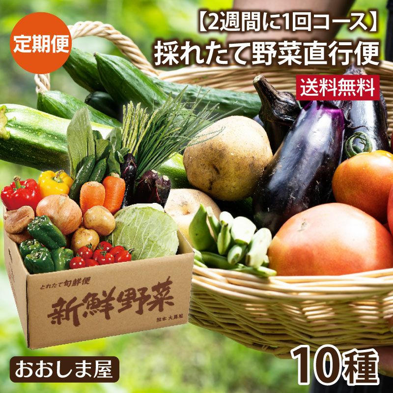 採れたて野菜直行便【定期便】 2週間に1回コース