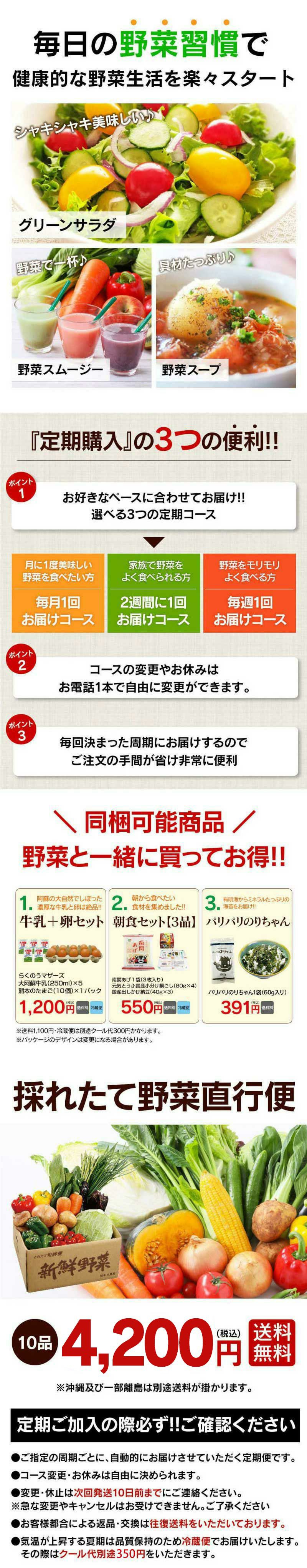 採れたて野菜直行便【定期便】 2週間に1回コース