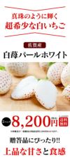 白いちご パールホワイト