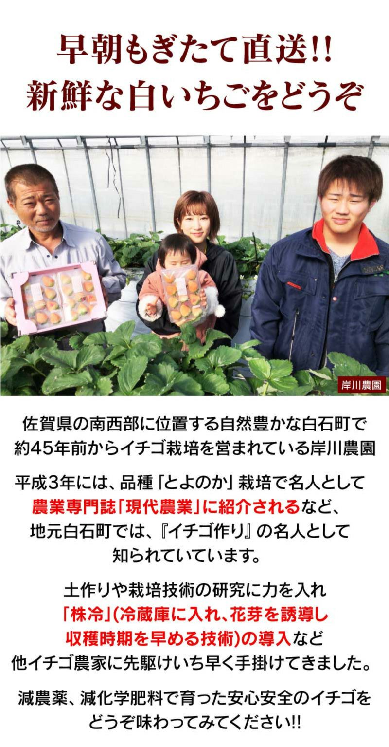 白いちご パールホワイト