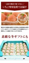 白いちご パールホワイト