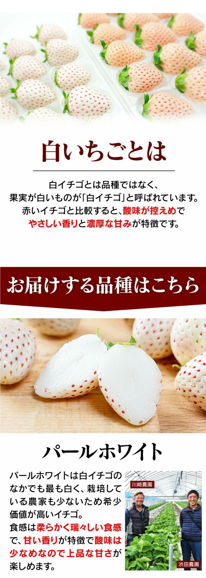 白いちご食べ比べセット