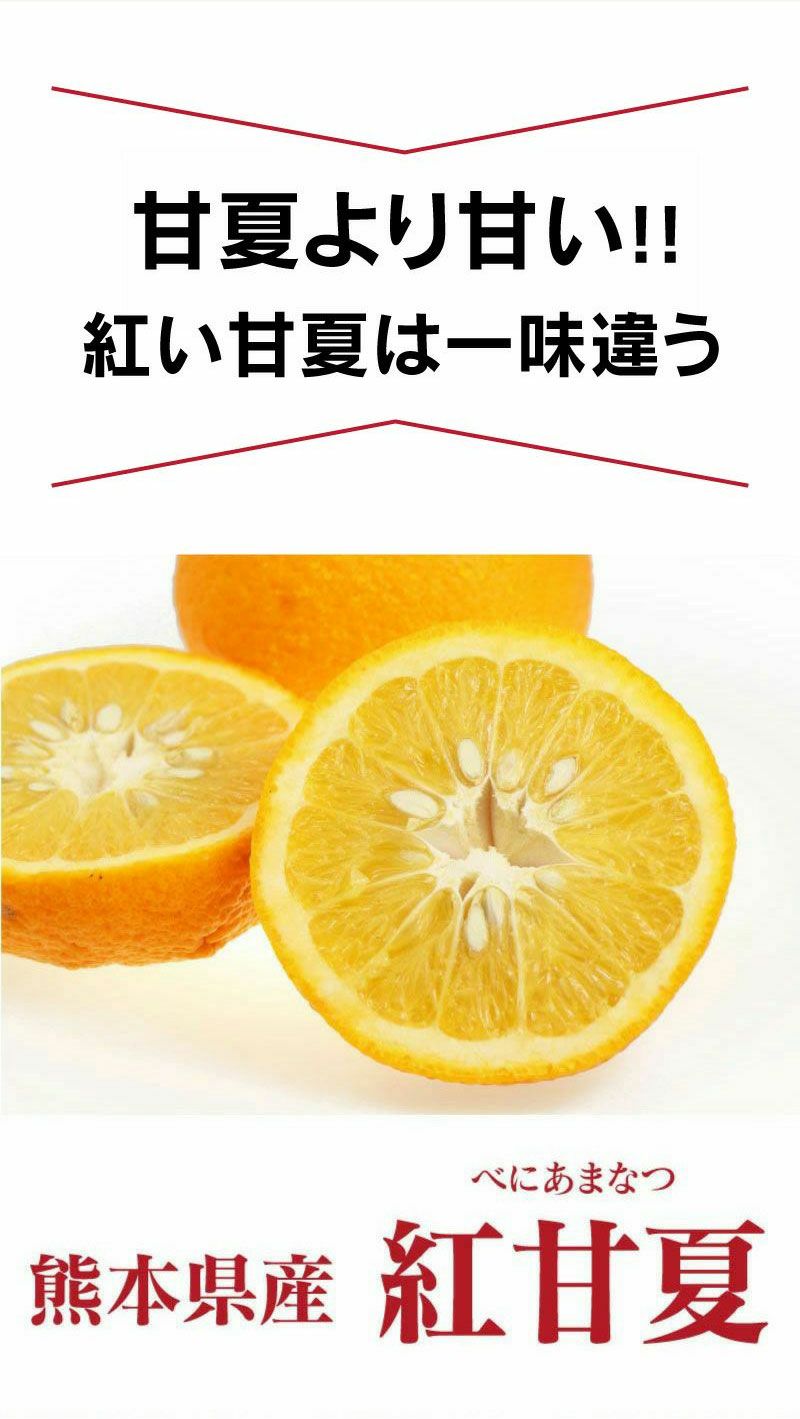 紅甘夏