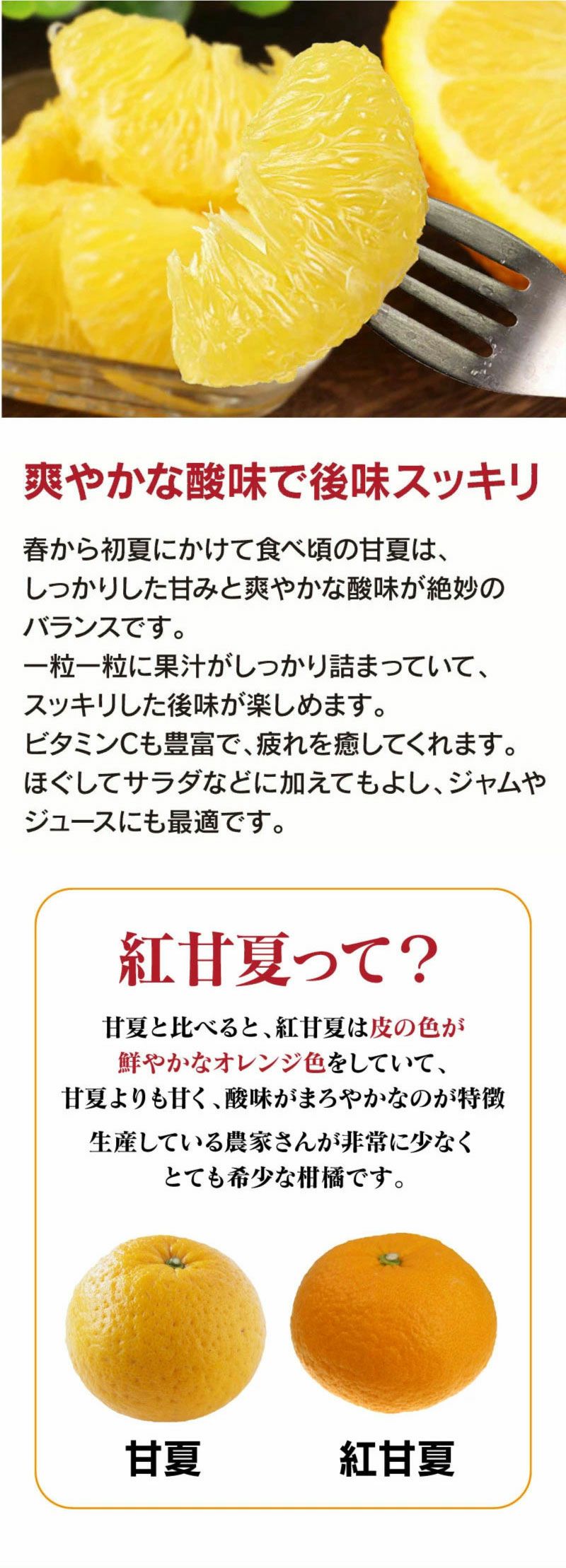 紅甘夏
