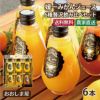 媛一みかんジュース6種贅沢飲み比べセット